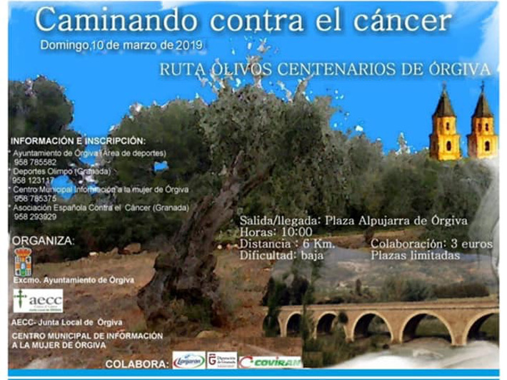 rgiva prepara su VIII marcha solidaria 'Caminando contra el cncer' para este domingo con un millar de participantes